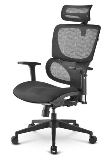 Sharkoon Officepal C30 - Stol - Ergonomisk - Høy Bakside - Armlener - T-Formet - Tipping - Roterende - Nylon Maskestoff Høytetthets Støpt Skum - Svart
