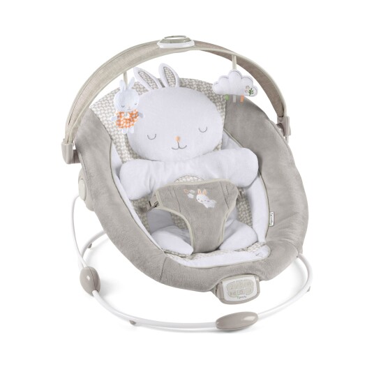 Ingenuity InLighten Bouncer™  Twinkle Tails™ Wiegewippe