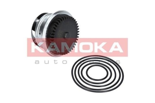 KAMOKA T0273 Vannpumpe