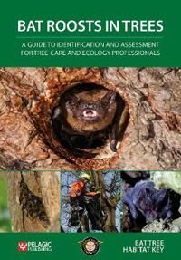 Bat Roosts In Trees Av Bat Tree Habitat Key