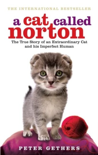 A Cat Called Norton Av Peter Gethers A Cat Called Norton Av Peter Gethers