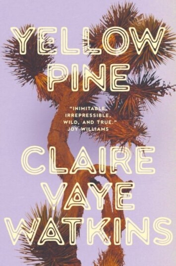 Yellow Pine Yellow Pine