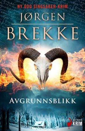 Avgrunnsblikk kriminalroman