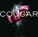 Cougar Patriot CD