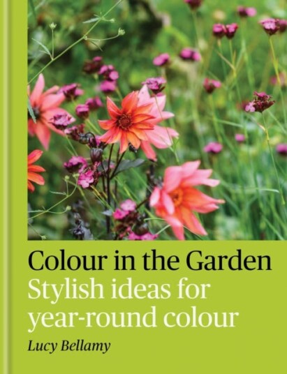 Colour in the Garden  Stylish ideas for yearround colour