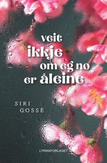 Veit ikkje om eg no er åleine Veit ikkje om eg no er åleine