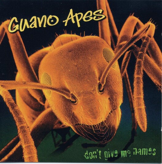 Guano Apes  Don't Give Me Names  LP/Vinyl