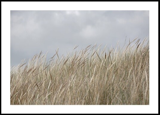Dunes and Clouds Plakat / 40x50cm