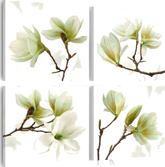 Bilde Admiration Of Magnolia 40x40 Artgeist sp. z o. o.