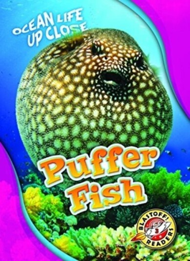 Puffer Fish Puffer Fish