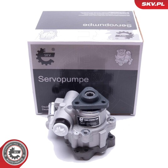 Servopumpe ESEN SKV 10SKV305