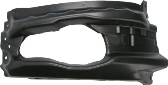 PACOL DAF-FB-062L Holder, reflektor