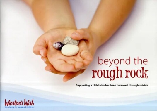 Beyond The Rough Rock Av Di Stubbs, Julie Stokes