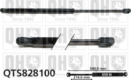 QUINTON HAZELL QTS828100 Baklukedemper