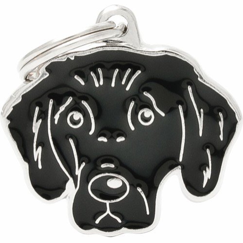 Myfamily Flat Coated Retriever Idtag