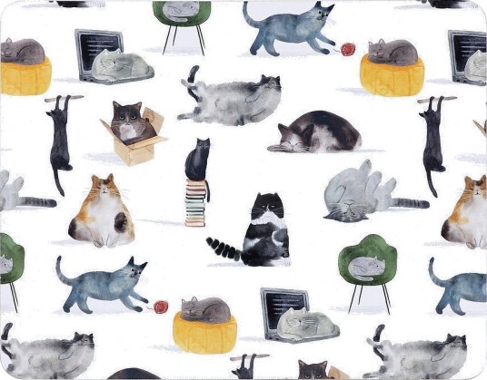 Maxwell & Williams   Bordskånere Cats 4 p   Flerfarget