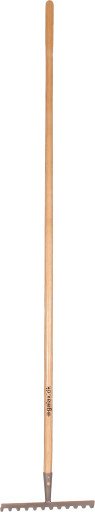 Galax rive, 12-tann/30,5 cm