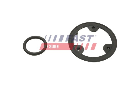 FAST FT57108 Vannpumpe