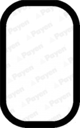 Tetning innsugningsmanifold PAYEN JD5935