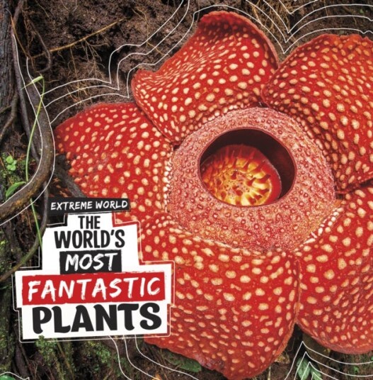 The World'S Most Fantastic Plants Av Cari Meister The World'S Most Fantastic Plants Av Cari Meister