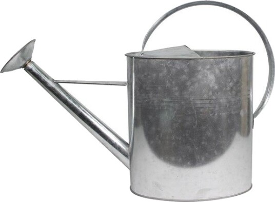 Home>it Watering Can with Spreader 10 liters Galvanized