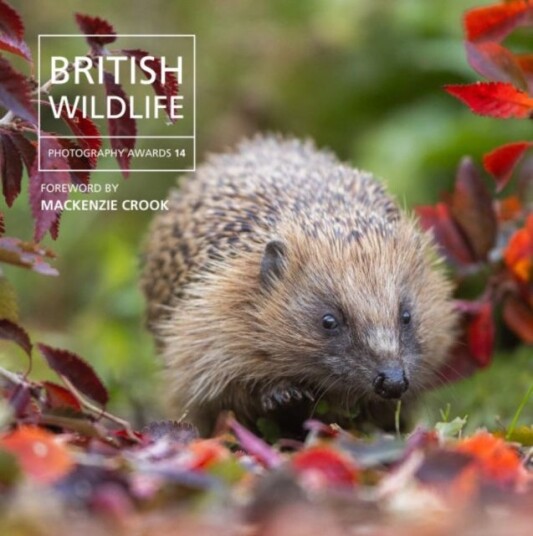 British Wildlife Photography Awards 14 British Wildlife Photography Awards 14