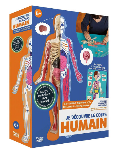Auzou Activity Box - Discovering The Human Body - Multi/patterned - ONE SIZE Auzou Activity Box - Discovering The Human Body - Multi/patterned - ONE SIZE