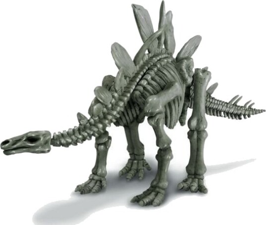 4M KidzLabs Grav Ut Og Sett Sammen Dinosaurskjelett Stegosaurus 17 cm 8+ År 4M KidzLabs Grav Ut Og Sett Sammen Dinosaurskjelett Stegosaurus 17 cm 8+ År