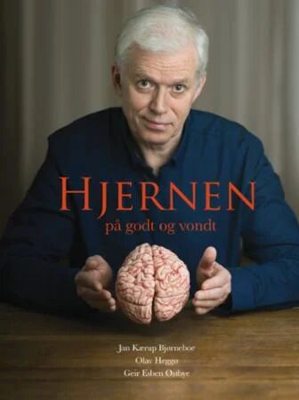 Hjernen På Godt Og Vondt Av Jan Kærup Bjørneboe