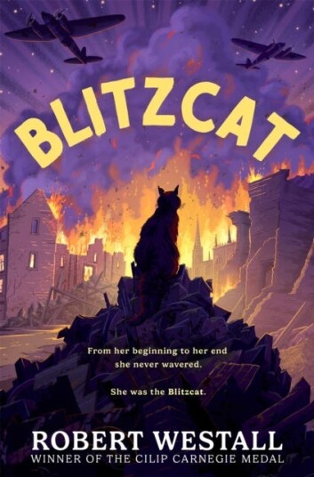 Blitzcat Blitzcat