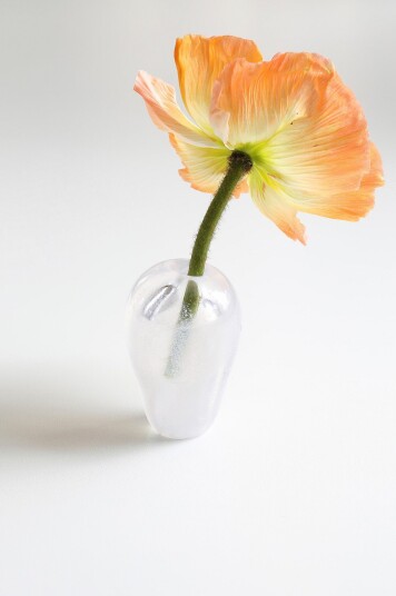 Mimou   Munnblåst vase Liv   Hvit
