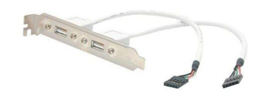 StarTech.com 2 Port USB A Female Low Pro