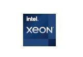 Intel Xeon E-2356G / 3.2 GHz prosessor - OEM