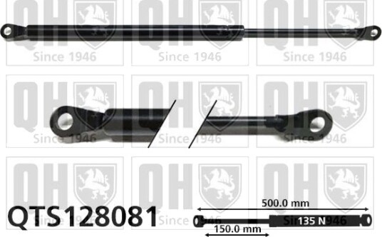 QUINTON HAZELL QTS128081 Baklukedemper QUINTON HAZELL QTS128081 Baklukedemper