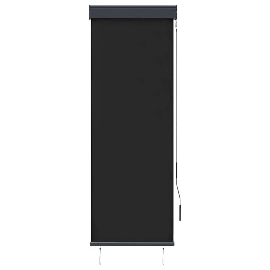 vidaXL Utendørs rullegardin 60x250 cm antrasitt