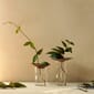 Audo Copenhagen 2 stk | Cresco Vase til Stiklinger
