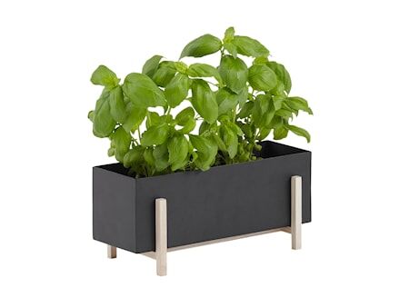 Design House Stockholm Botanic Herb Box