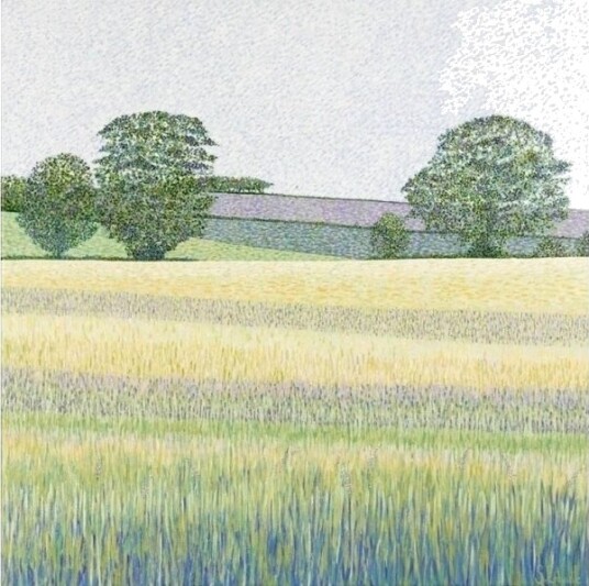 Kort Med Konvolutt Barley Fields