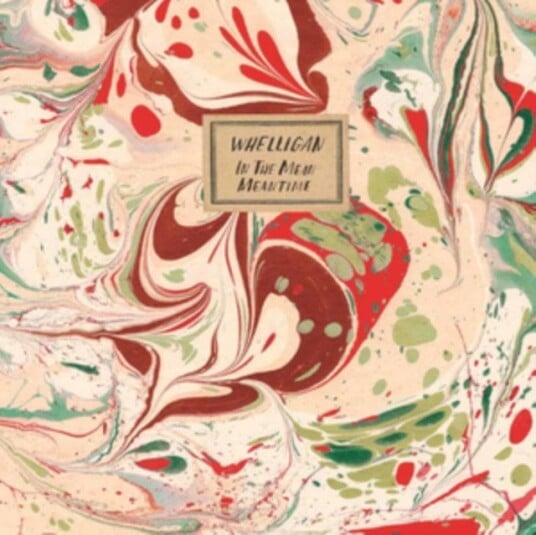 Whelligan In The Mean Meantime CD