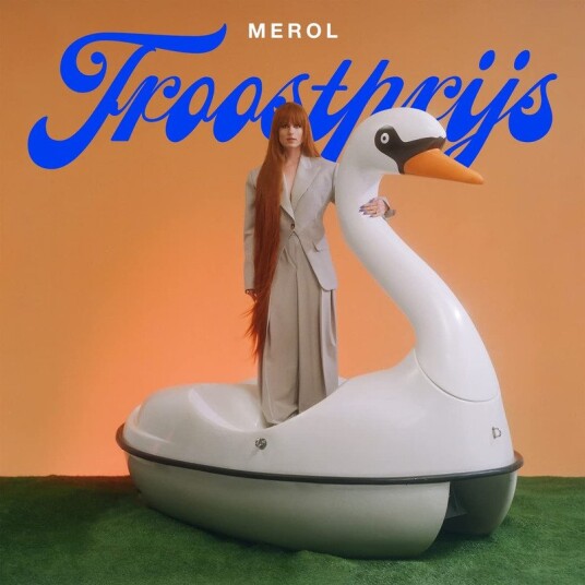 Troostprijs Vinyl