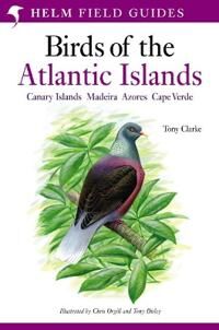 A Field Guide To The Birds Of The Atlantic Islands Av Mr Tony Clarke