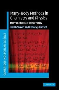 Shavitt Isaiah Many-Body Methods in Chemistry and Physics
