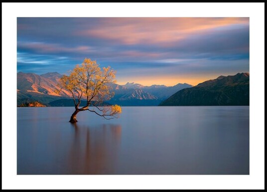 Morning Glow Poster Plakat / 70x100cm