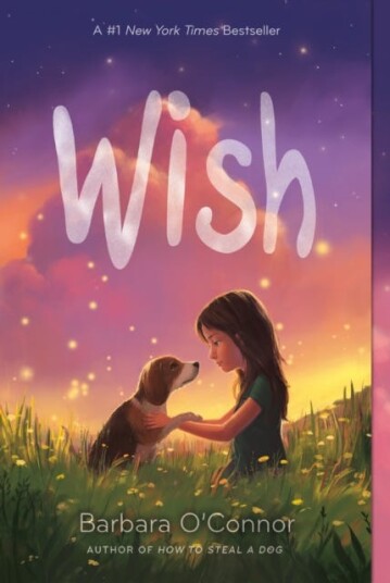 Wish Av Barbara O'Connor