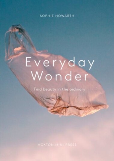 Everyday Wonder Find beauty in the ordinary Everyday Wonder Find beauty in the ordinary