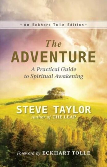 The Adventure Av Steve Taylor