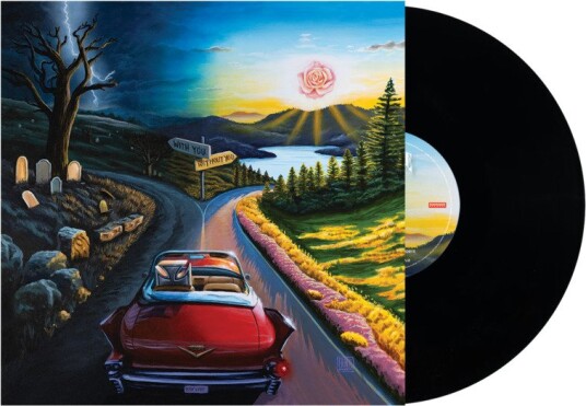 Haywire 617 I Dont Wanna Say Goodbye Vinyl