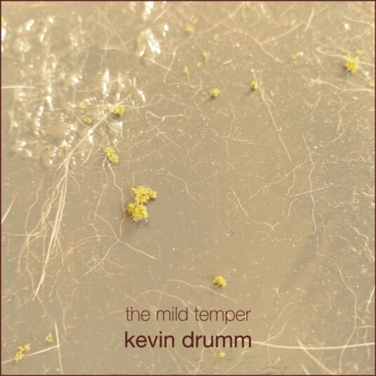 Kevin Drumm Mild Temper CD