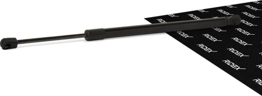 RIDEX 219G0066 Baklukedemper