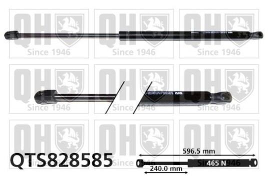 Baklukedemper QUINTON HAZELL QTS828585